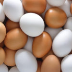 why the eggshell will become white？